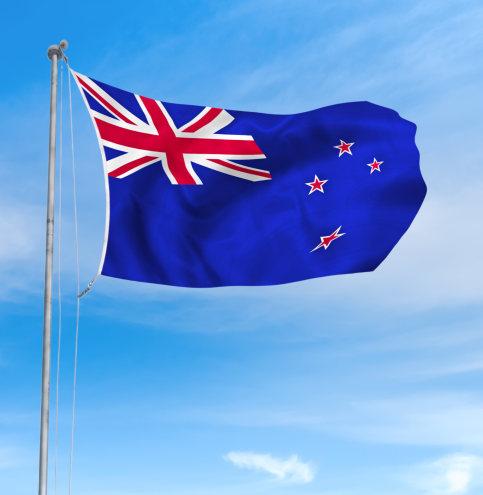 Projekt bez nazwy (81)